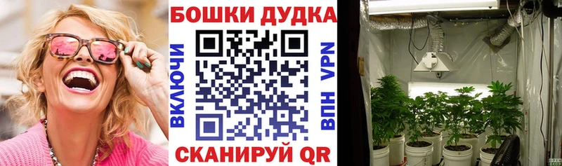 Где продают наркотики Новочеркасск ГАШ Канабис АМФ Меф мяу мяу COCAIN