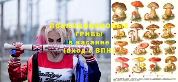 MDMA Бородино