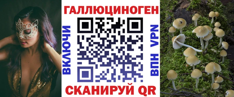 нарко площадка какой сайт Новочеркасск Галлюциногенные грибы Psilocybine cubensis