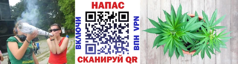 Бошки марихуана конопля Новочеркасск